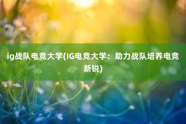 ig战队电竞大学(IG电竞大学：助力战队培养电竞新锐)