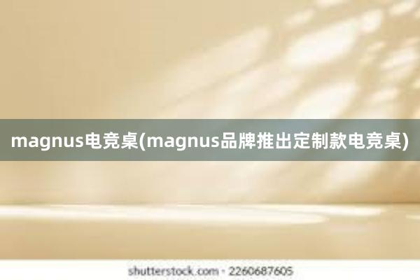 magnus电竞桌(magnus品牌推出定制款电竞桌)