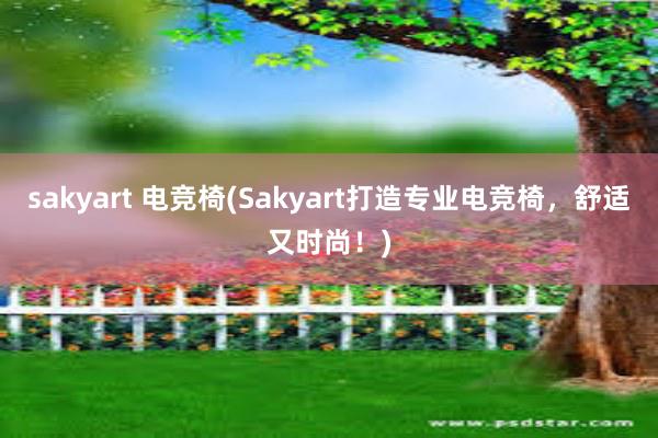 sakyart 电竞椅(Sakyart打造专业电竞椅，舒适又时尚！)