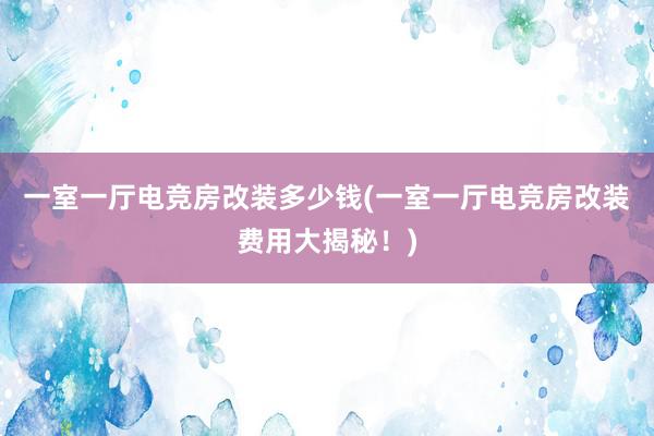 一室一厅电竞房改装多少钱(一室一厅电竞房改装费用大揭秘！)