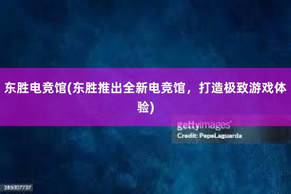 东胜电竞馆(东胜推出全新电竞馆，打造极致游戏体验)