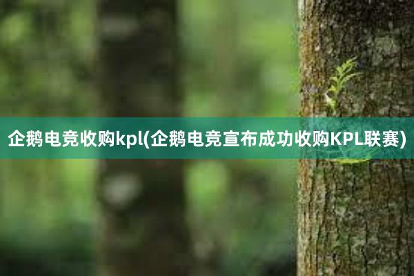 企鹅电竞收购kpl(企鹅电竞宣布成功收购KPL联赛)