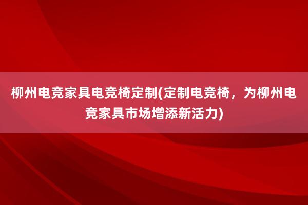 柳州电竞家具电竞椅定制(定制电竞椅，为柳州电竞家具市场增添新活力)