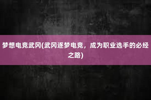 梦想电竞武冈(武冈逐梦电竞，成为职业选手的必经之路)