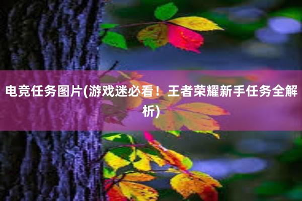 电竞任务图片(游戏迷必看！王者荣耀新手任务全解析)