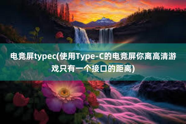 电竞屏typec(使用Type-C的电竞屏你离高清游戏只有一个接口的距离)