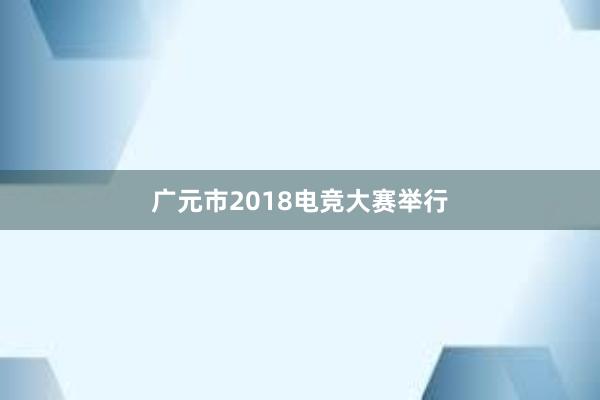 广元市2018电竞大赛举行