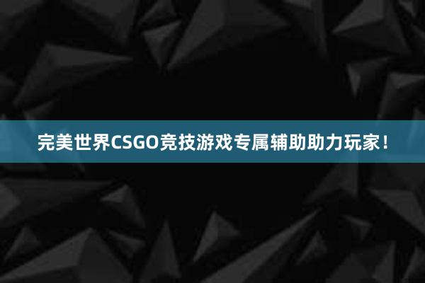 完美世界CSGO竞技游戏专属辅助助力玩家！