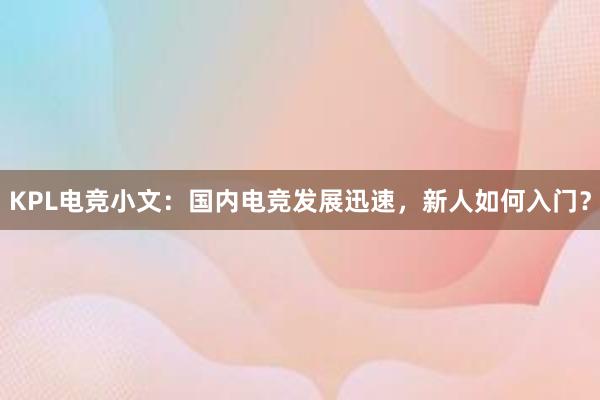 KPL电竞小文：国内电竞发展迅速，新人如何入门？