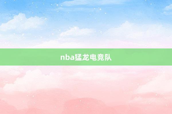 nba猛龙电竞队