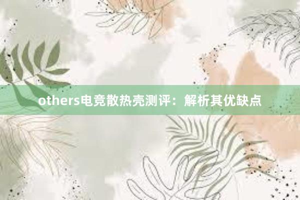 others电竞散热壳测评：解析其优缺点