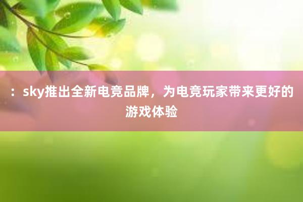 ：sky推出全新电竞品牌，为电竞玩家带来更好的游戏体验