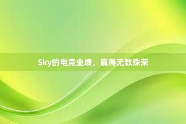 Sky的电竞业绩，赢得无数殊荣