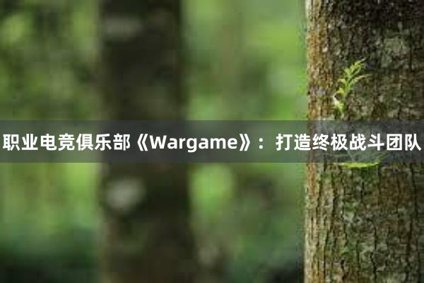 职业电竞俱乐部《Wargame》：打造终极战斗团队