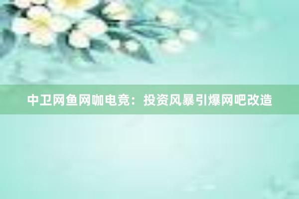 中卫网鱼网咖电竞：投资风暴引爆网吧改造