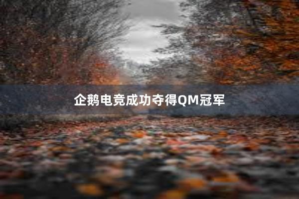 企鹅电竞成功夺得QM冠军