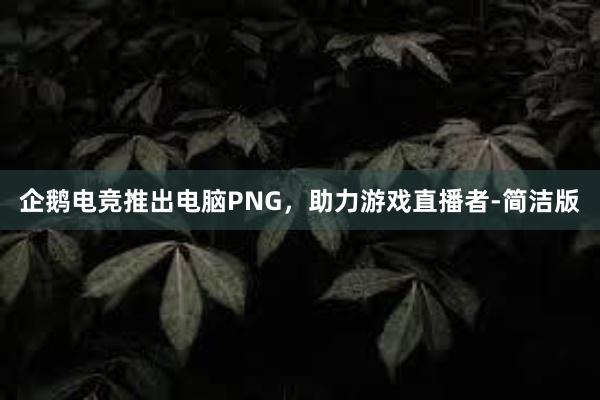 企鹅电竞推出电脑PNG，助力游戏直播者-简洁版