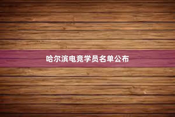 哈尔滨电竞学员名单公布