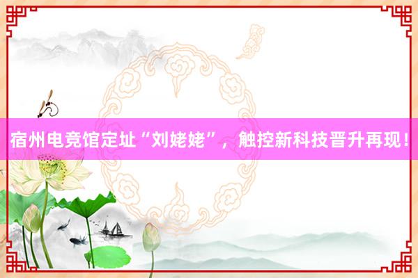 宿州电竞馆定址“刘姥姥”，触控新科技晋升再现！