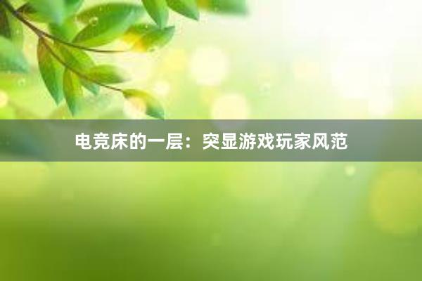 电竞床的一层：突显游戏玩家风范