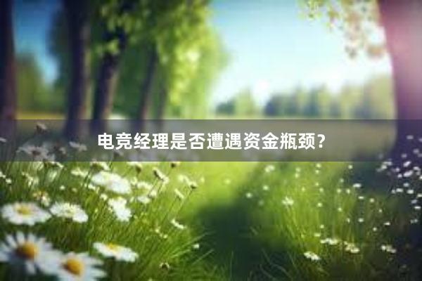 电竞经理是否遭遇资金瓶颈？