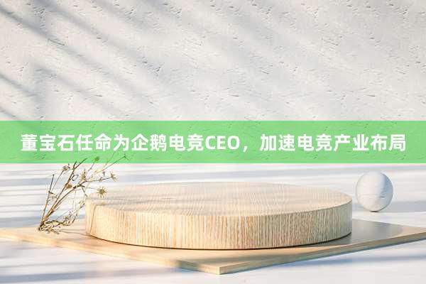 董宝石任命为企鹅电竞CEO，加速电竞产业布局