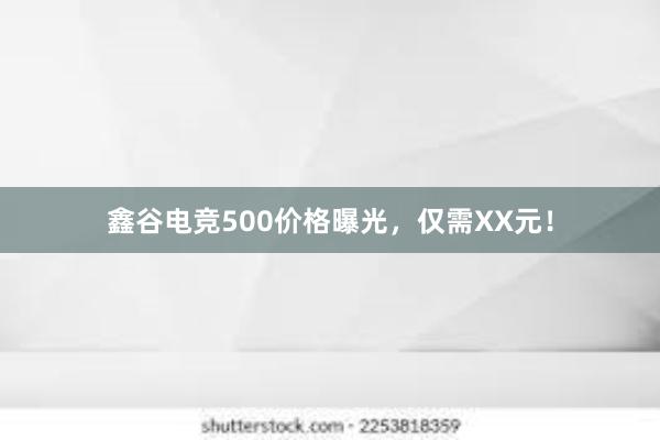 鑫谷电竞500价格曝光，仅需XX元！